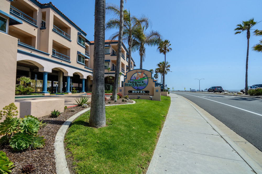 Tamarack Beach Hotel Carlsbad Exteriör bild